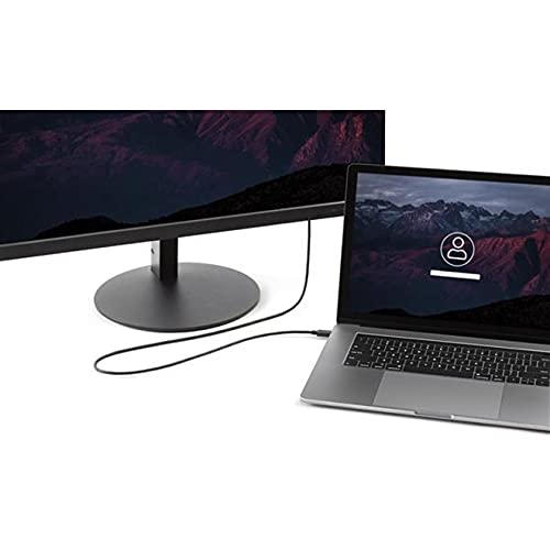 Startech.Com 6Ft/1.8M Usb C To Displayport 1.2 Cable 4K 60Hz   Usb C To Dp Adapter Hbr2   Usb Type C Dp Alt Mode To Dp Monitor V