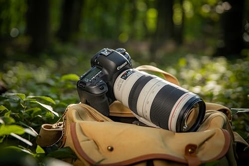 Canon 9524B002 IV EF 100 400mm f/4.5 5.6L is II USM Lens International Version (No Warranty)