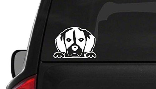 Peeking Beagle (A26) Vinyl Decal Sticker Car/Truck Laptop/Netbook Window 6 '' Inch  By Customdecal Us