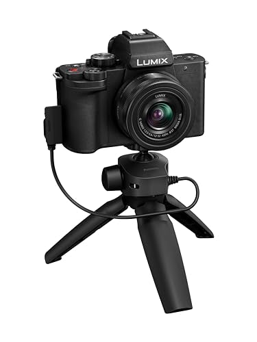 Panasonic Lumix G100 4K Mirrorless Camera, Lightweight Camera For Photo And Video, Built In Microphone, Micro Four Thirds With 1