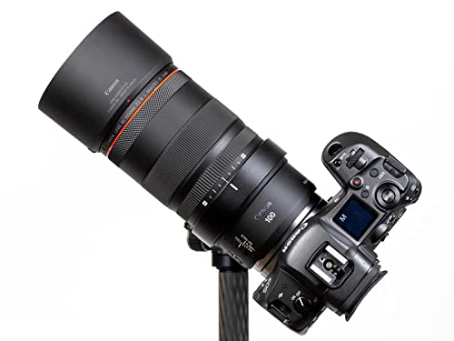 Haoge Lmr Rf100 Lens Collar For Canon Rf 100Mm F2.8 L Macro Is Usm Lens Tripod Mount Ring Built In Arca Type Quick Release Plate