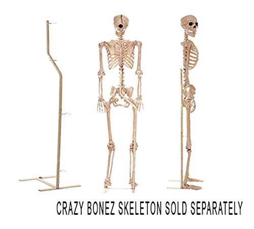 Crazy Bonez Pose N Stay Skeleton Stand