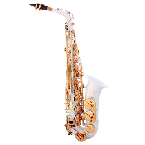 Glory White Laquer E Flat Alto Saxophone With 11Reeds,8 Pads Cushions,Case,Carekit