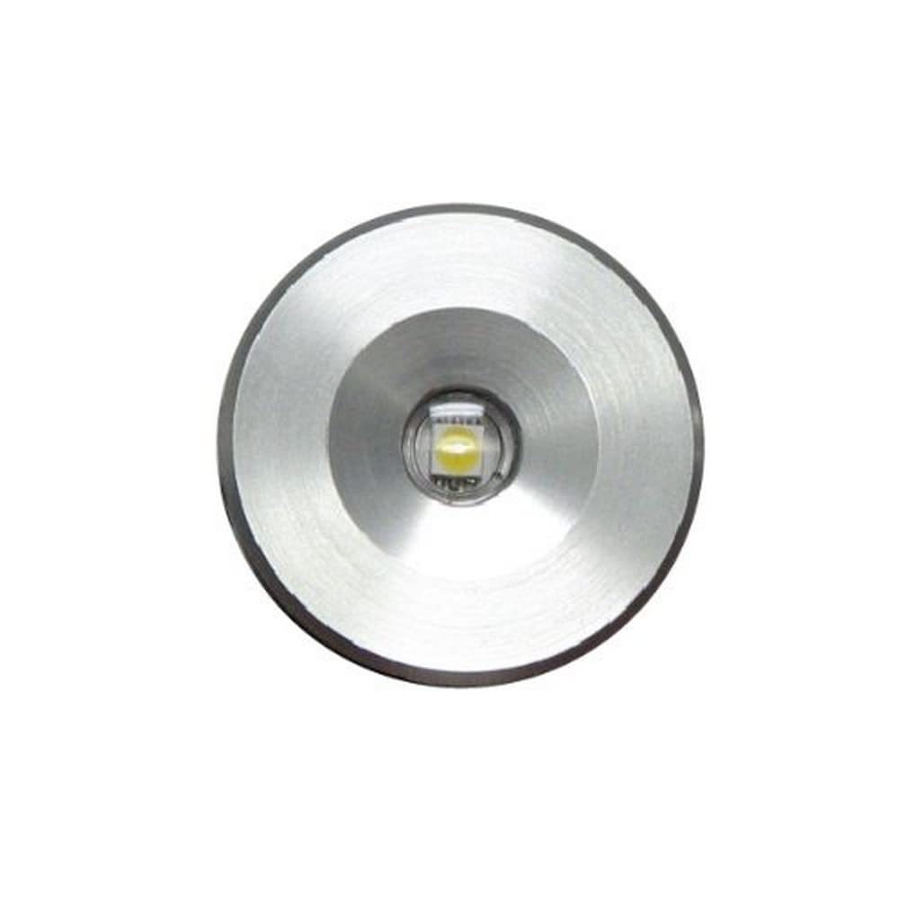 Lumitec 112203, Echo Courtesy / Accent Light, Brushed Housing, White,WBLITB00976SN52