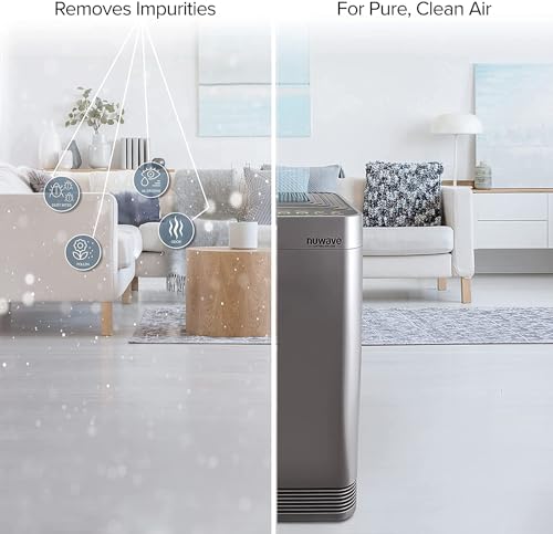 Nuwave OxyPure HEPA/Carbon Combo Filter 2-Pack for Models 47001-47004 - Removes Odors & Pollutants