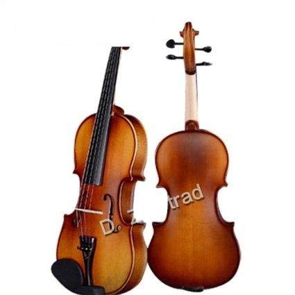 D Z Strad Viola Model 101 With Strings, Case, Bow, Shoulder Rest, And Rosin (14'' - Size)