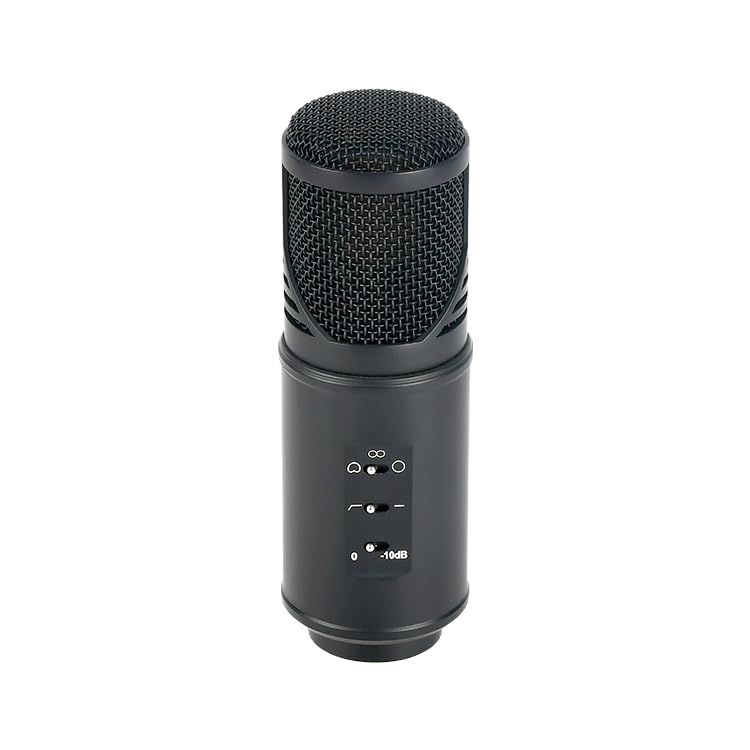 Roq Audio Condenser Microphone (M15C B)