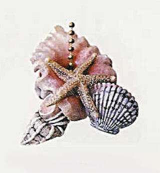 Starfish Seashells Sea Shell Beach Fan Light Pull