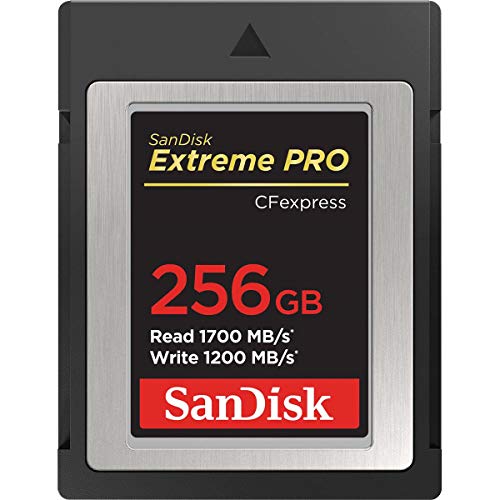 Ext Pro Cfexpress Card 256Gb