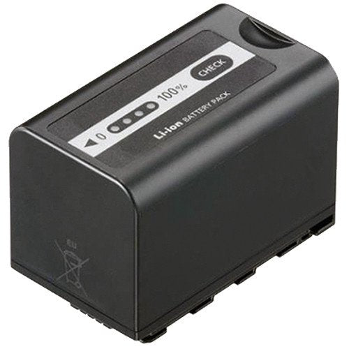 Panasonic Vw Vbd58 Rechargeable Battery (Black)