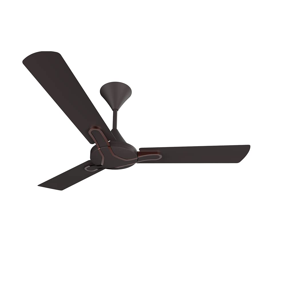 Crompton Highspeed Gianna 1200 Mm (48 Inch) Ceiling Fan (Roast Brown) Star Rated Energy Efficient Fans