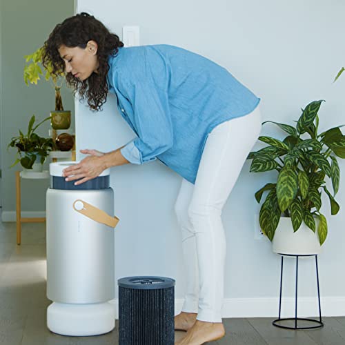 Molekule Peco Hepa Tri Power Filter Air Pro | Air Purifier Replacement Filters For Smoke, Mold, Bacteria, Viruses, Allergens & O