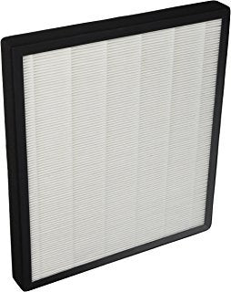 Nispira Replacement Hepa Filter Compatible With Surround Air Intelli Pro Xj 3800 Air Purifier.