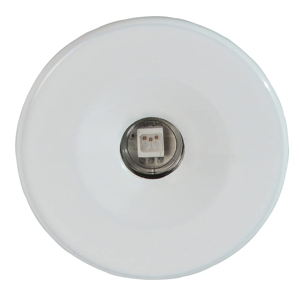 Lumitec 112223. Echo Courtesy / Accent Light, White Housing, White,WBLITB00976SW8A