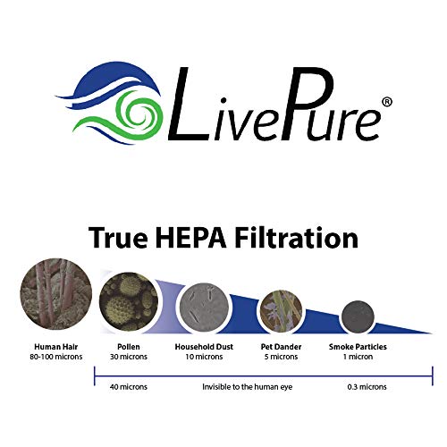Livepure True Hepa Replacement Lp Hf550 Filter For Bali Series Air Purifiers Lp550Th, Lp550Thp, White