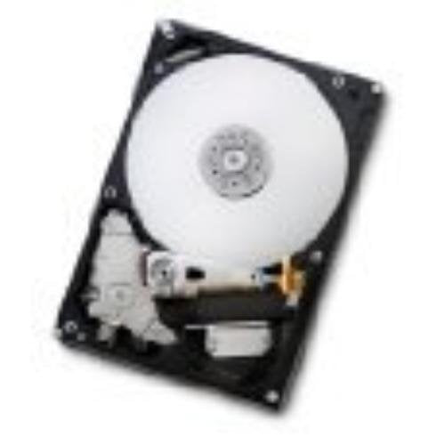 Hitachi 0F10311 2.0Tb Sata 3.0Gb/S 3.0 7200 Rpm 32Mb Buffer Hard Drive Bulk