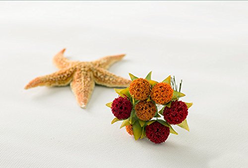 Lylycty 5X7Ft Photography Background Non Woven Fabric Solid Color White Screen Photo Backdrop Studio Photography Props Ly061