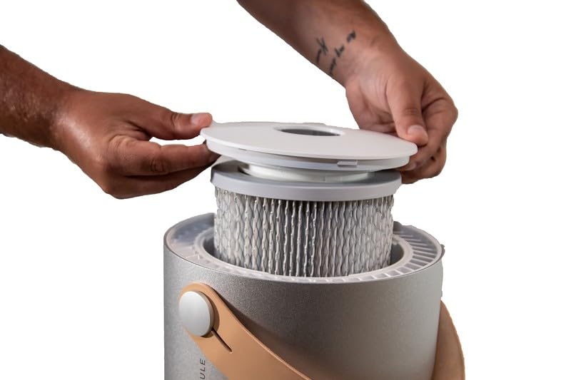 Molekule Air Peco Filter | Air Purifier Filter Replacement To Remove Dust, Mold, Pollen, Viruses, Allergens & Other Pollutants F