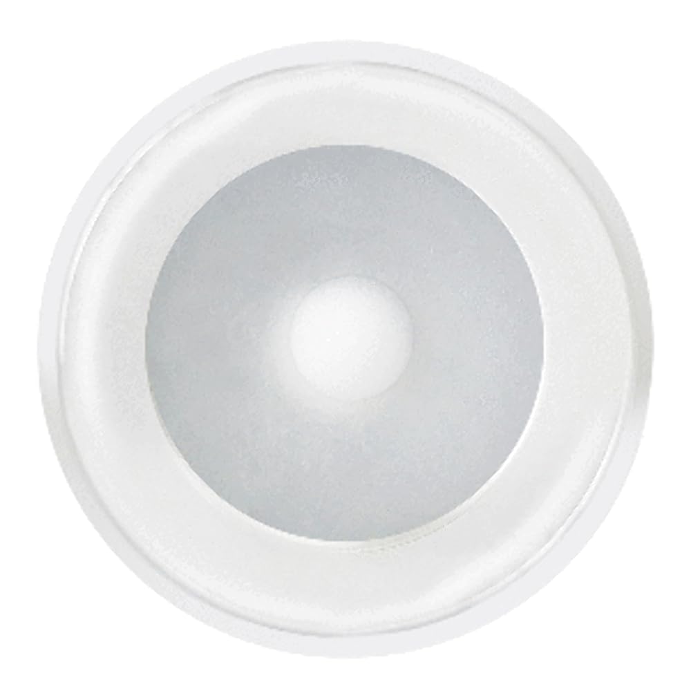 Shadow-Caster Downlight - White Housing - Bimini Blue,WBAUVB0CVZRXHRT