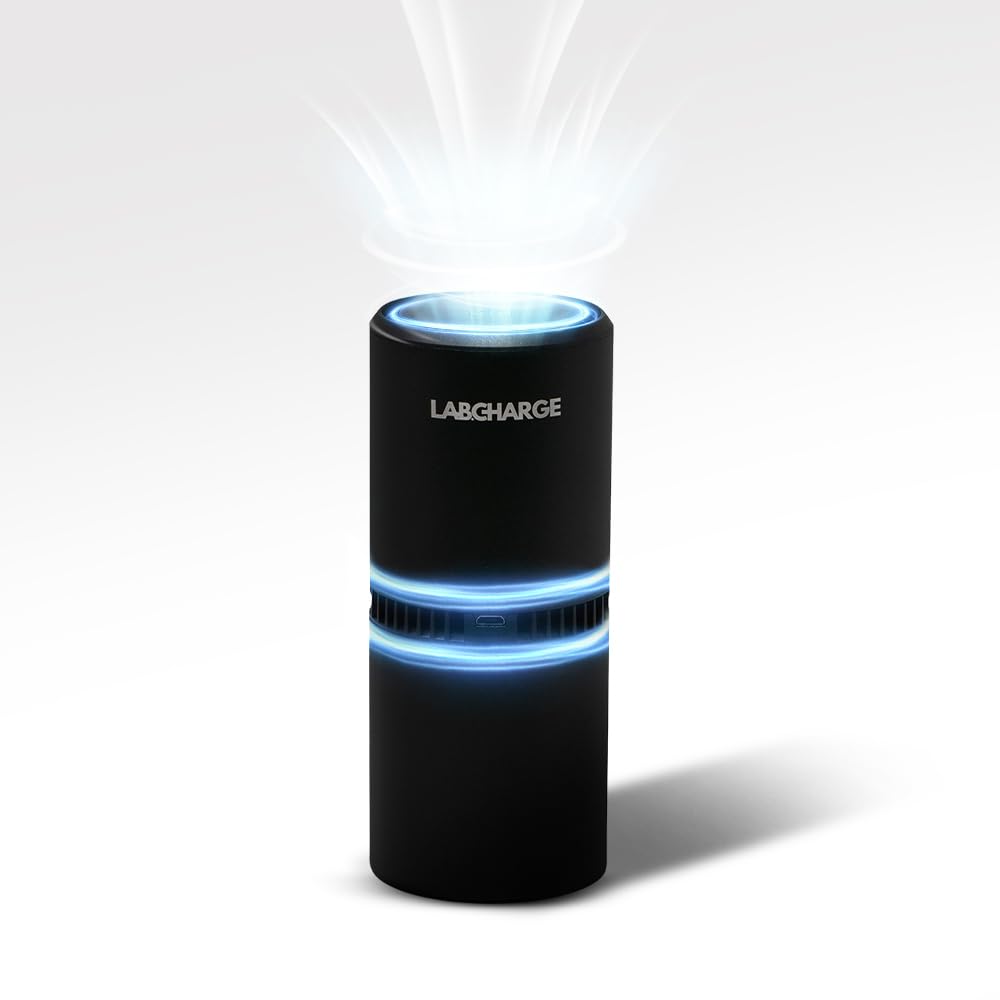 Labcharge Ionic Air Purifier For Home & Bedroom - Silent Hepa Filter-Free Cleaner For Pets, Hair, Smoke, Dust, Odors & Dander - 