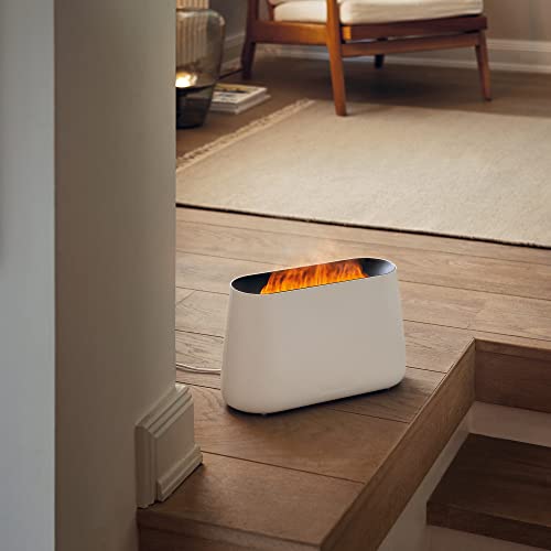 Stadler Form Ben Aroma Diffuser Humidifier, Black,B 102