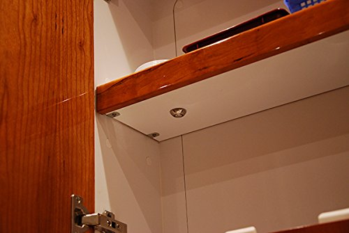 Lumitec 101049 Exuma Courtesy/Accent Light, Direct / 360 Degree, Stainless Case, White, One Size,WBLITB00976S43S