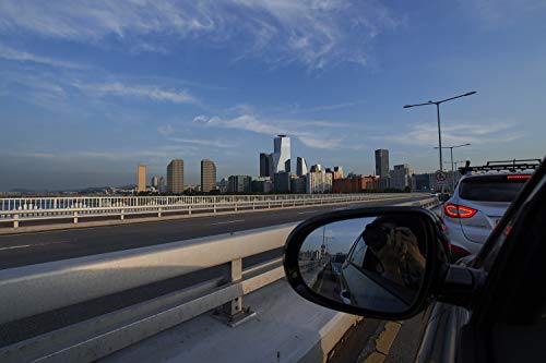 Rokinon 10Mm F/2.8 Ed As Ncs Cs Lens For Sony E Mount (Nex Mirrorless Cameras), Manual Focus