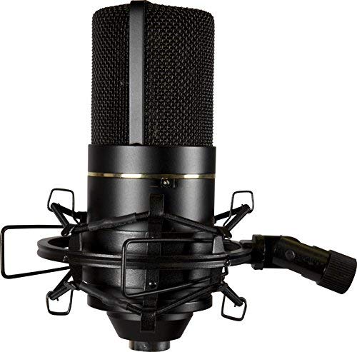 Mxl 770 Condenser Microphone For Podcasting, Singing, Home Studio Recording, Gaming & Streaming | Xlr | Large Diaphragm | Cardio