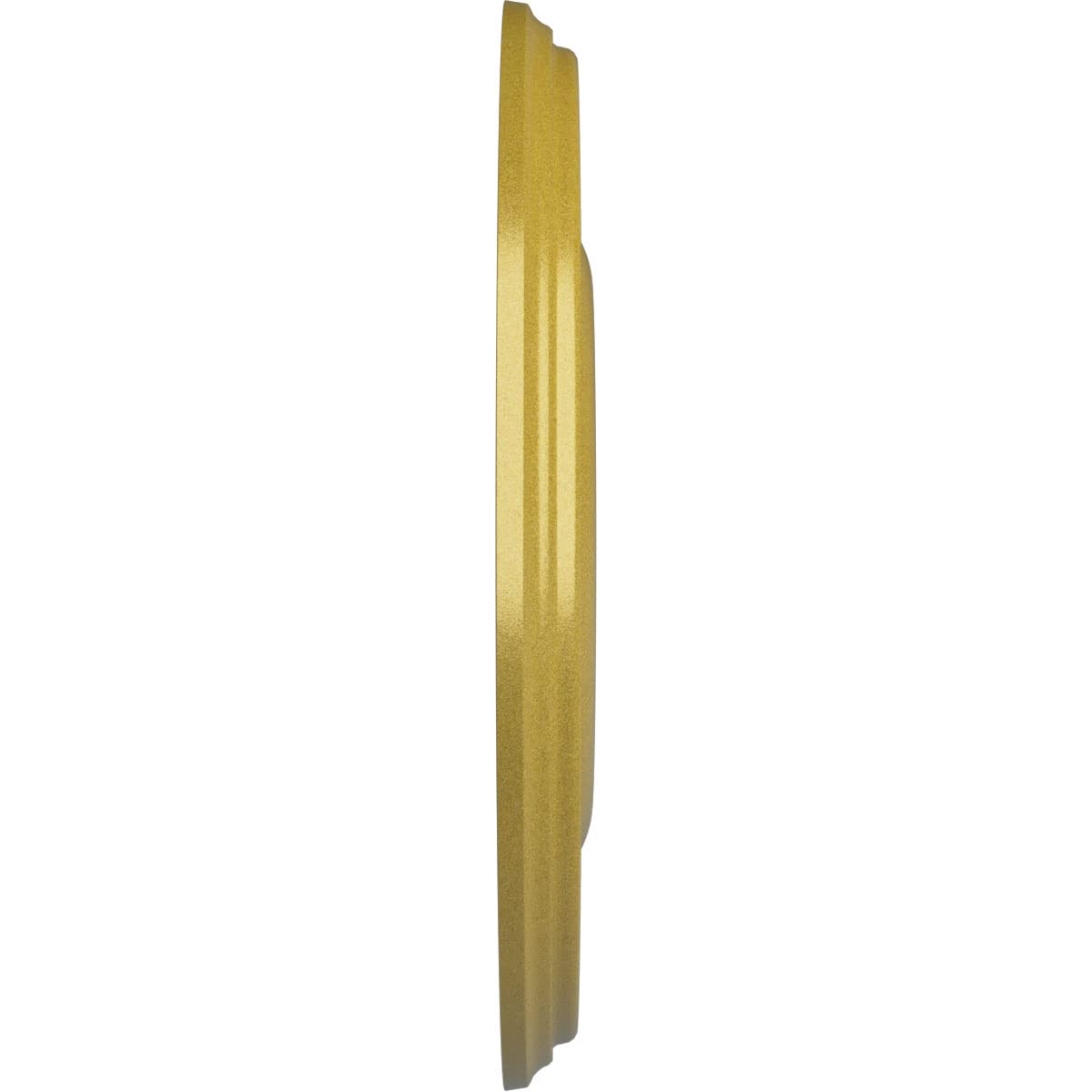 Ekena Millwork Cm18Brrgs Bradford Ceiling Medallion, 18 1/8''Od X 3 3/4''Id X 1 1/8''P, Hand Painted Rich Gold