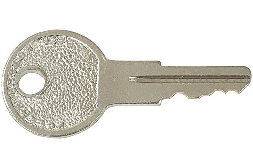 Two Keys On Ring  Code Pk556(Pack Of 1)