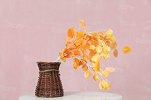 Kate, Light Pink Microfiber 10Ft  12Ft Backdrop, Photography Background For Children, Studio, Headshots, Photo Booth, Portrait,