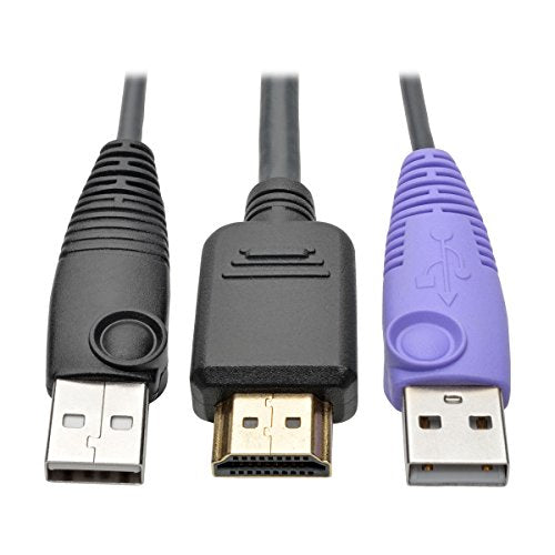 HDMI USB Server Intrfc Unit