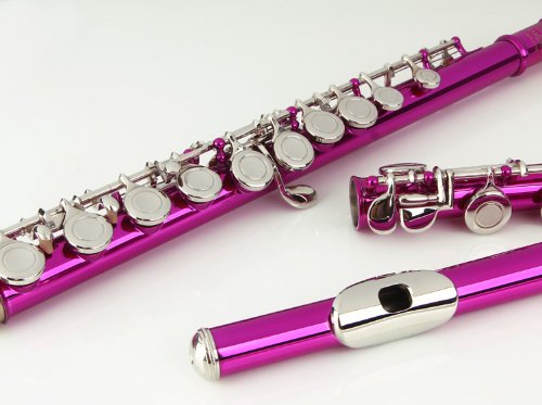 Glory Closed Hole C Flute With Case, Tuning Rod And Cloth And Gloves Pink