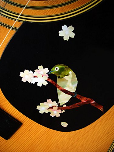 Inlaystickers Sticker/Decal (B 182Jbw)