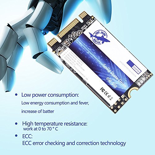 Dogfish Ssd M.2 2242 500Gb Unit?A Stato Solido Interne Drive A Stato Solido Interno Da Integrata Laptop Hard Drive M2 (M.2 2242 500Gb)
