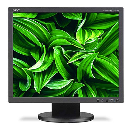 19'' Led Backlit Lcd Monitor