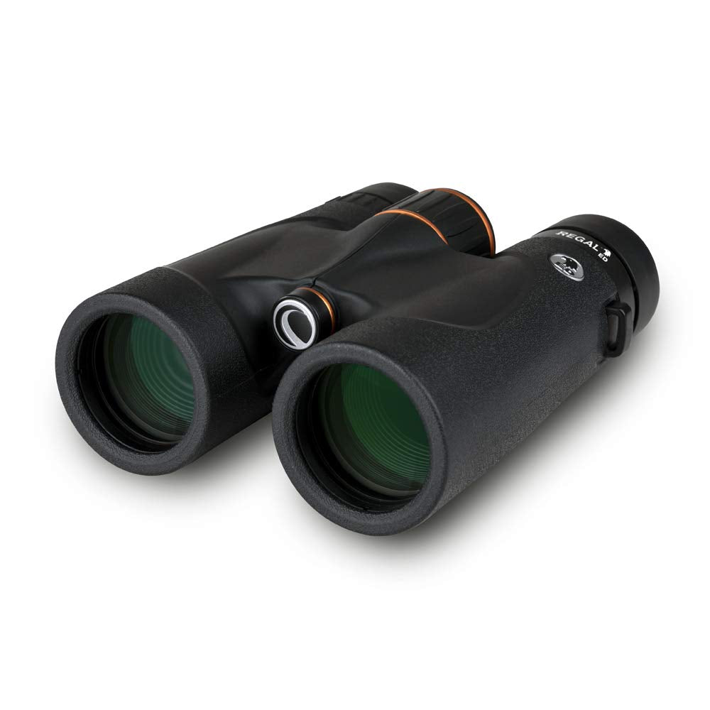 Celestron   Regal Ed 10X42 Binocular   Ed Binoculars For Hunting, Birding And Outdoor Actvities   Phase And Dielectric Coated Ba
