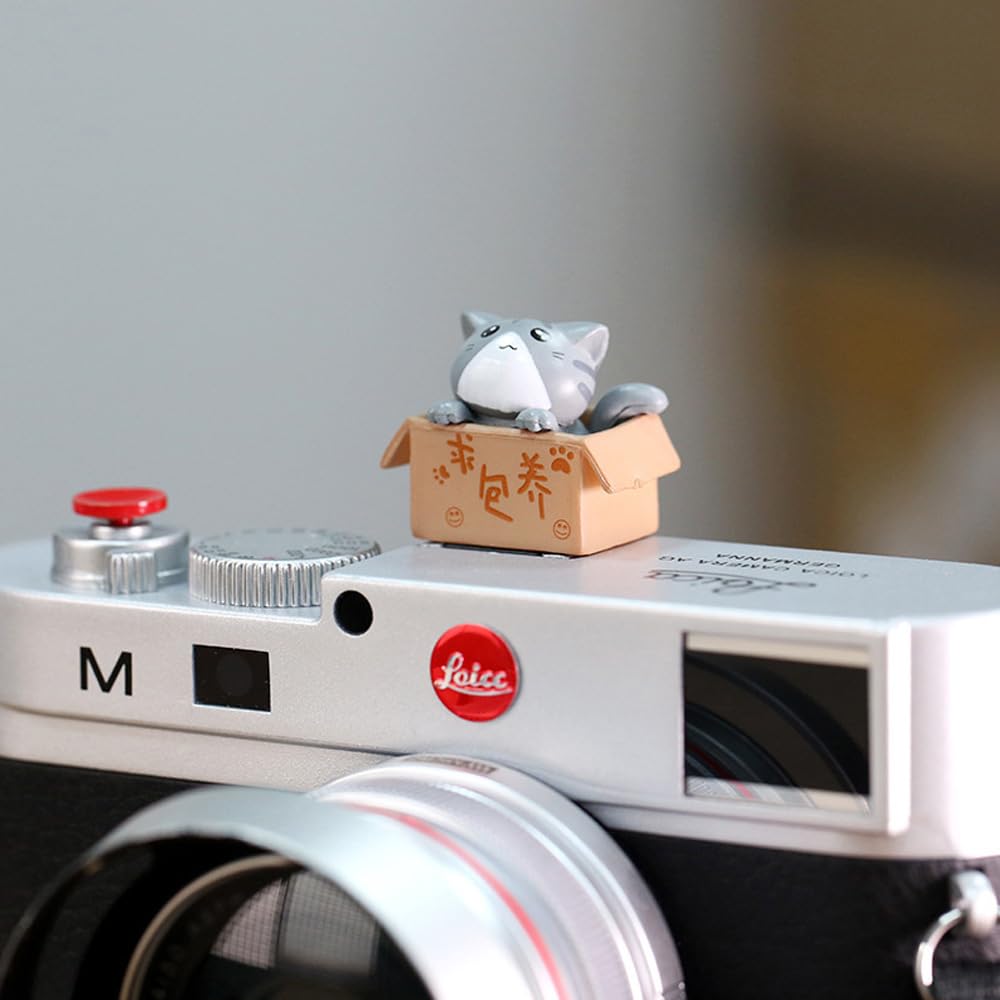 Zostland Adorable Slr Camera Hot Shoe Boot Cover Cap,Box Shoe Protector,Compatible With Sony Fuji Canon Nikon Pentax Leical. (2P
