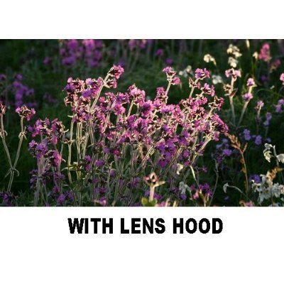 Plr Optics 55Mm Lens Hood For The Sony Dsc Hx300 Digital Camera