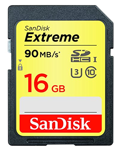Sandisk Extreme Sdhc 16Gb 90Mb/S C10 Flash Memory Card (Sdsdxne 016G Ancin)