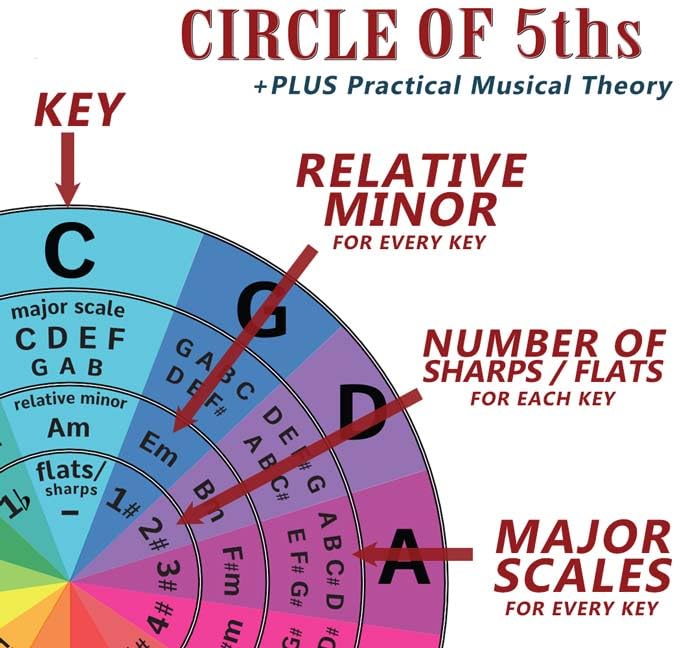 5 String Bass Fretboard Poster - Nashville Numbering System, Circle Of 5Ths, Notes Instructional Chart | A New Song Music | 11X1