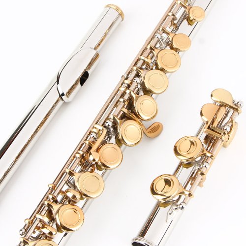 Glory Closed Hole C Flute With Case, Tuning Rod And Cloth,Joint Grease And Gloves, Nickel/Laquer