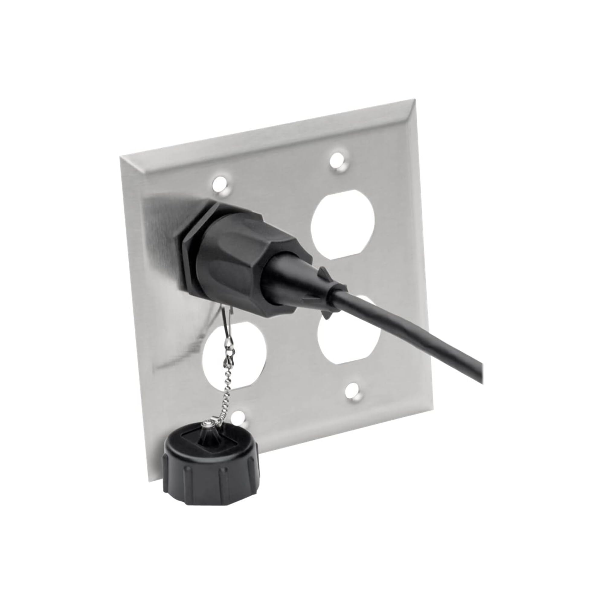 Tripp Lite Rj45 Bulkhead Wall Plate, 4 Cutout, Industrial, Metal   Stainless Steel, Ip44, Double Gang, Taa (N206 Fp04 Ind),Silve