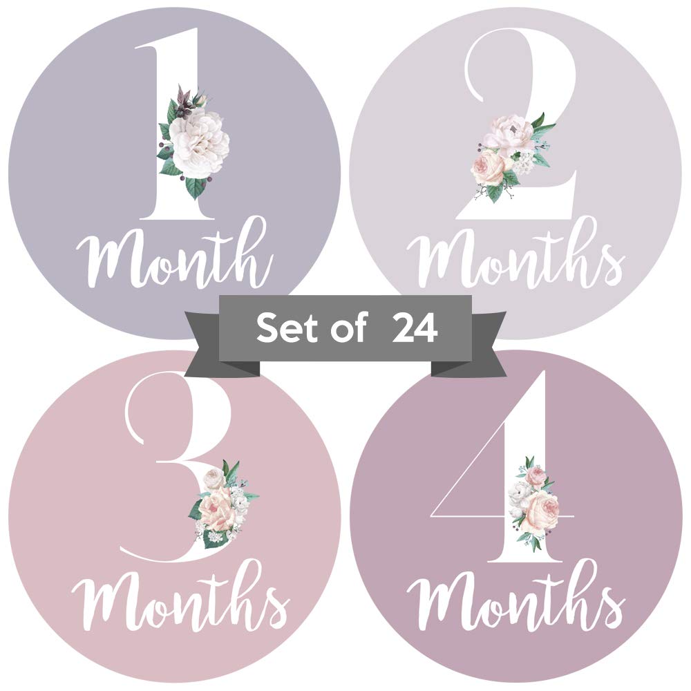 Baby Monthly Stickers | Floral Baby Milestone Stickers | Newborn Girl Stickers | Month Stickers For Baby Girl | Baby Girl Sticke