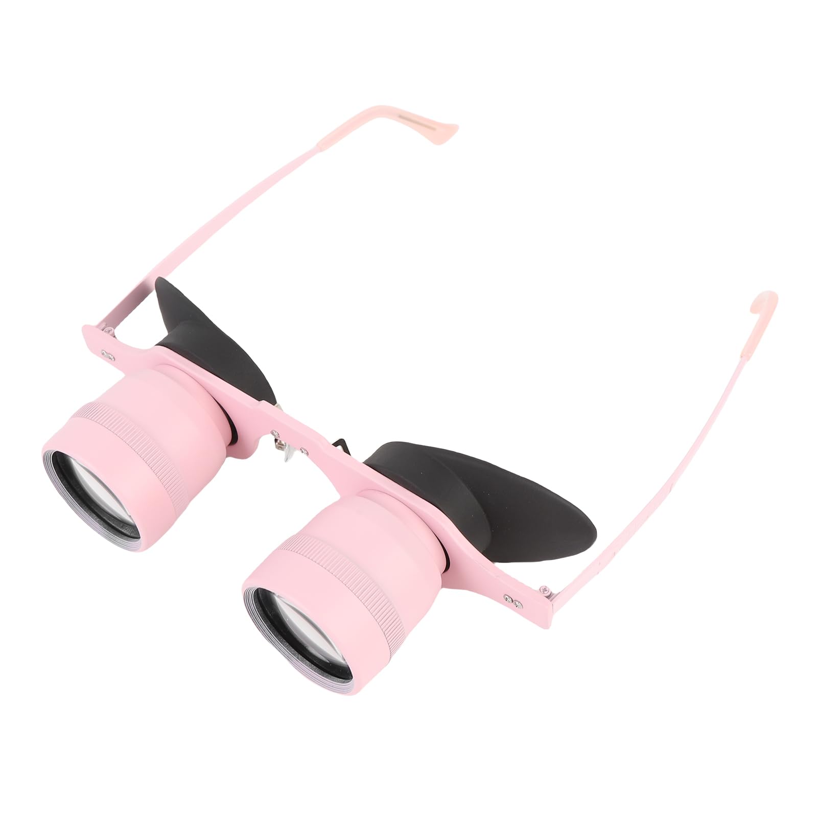 Binocular Glasses, Professional for Fishing, 10X Magnification Polarized Glasses, Portable for Bird Watching, Sports, Concerts, 