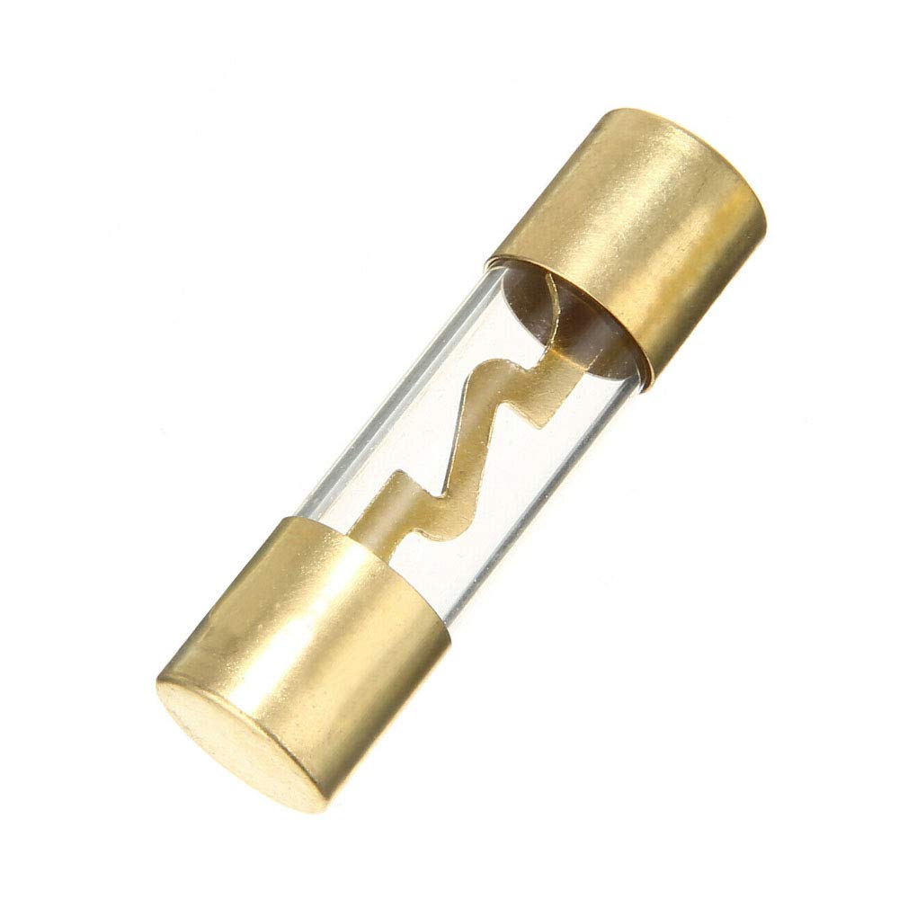 Etopars 5 X 40A Agu Fuse, Transparent Glass Tube, Gold Plated Cap, Metal Internal Material, 12V Car Power Safety