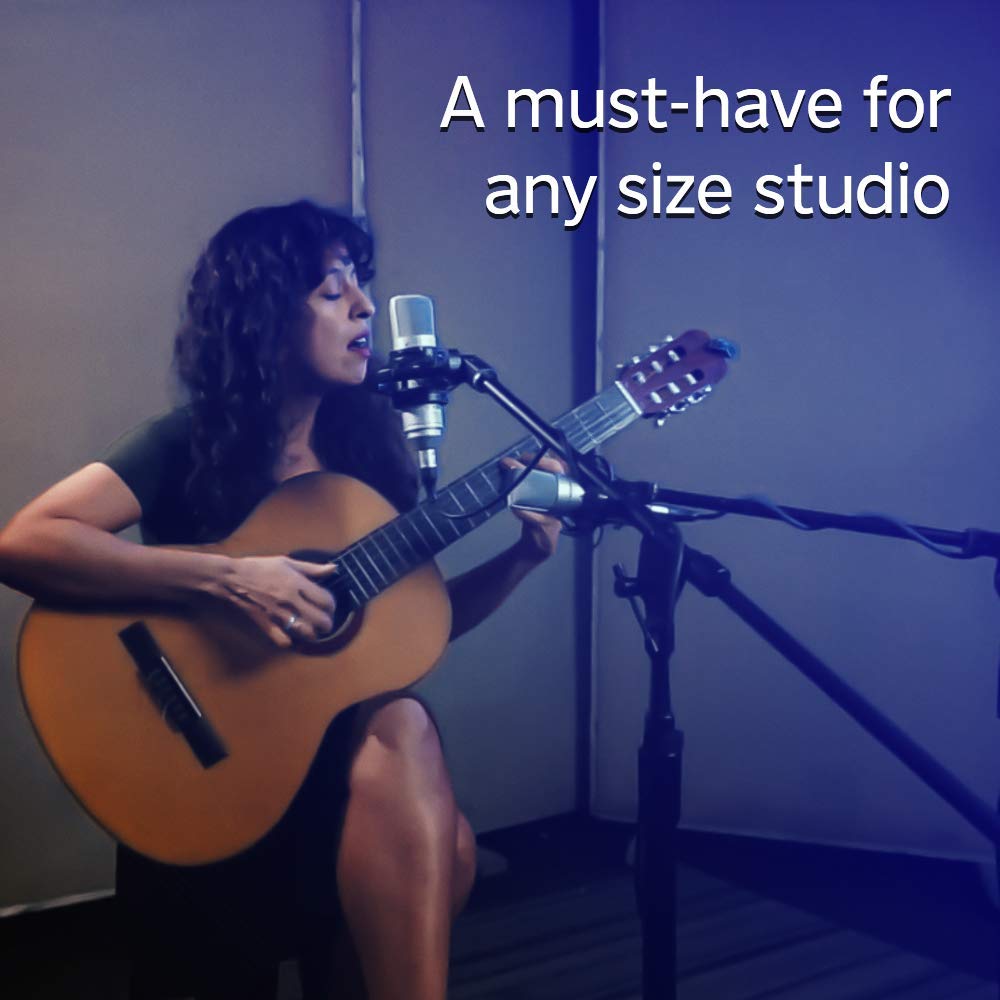 Tascam Tm 80 Large Diaphagm Condenser Microphone,Silver