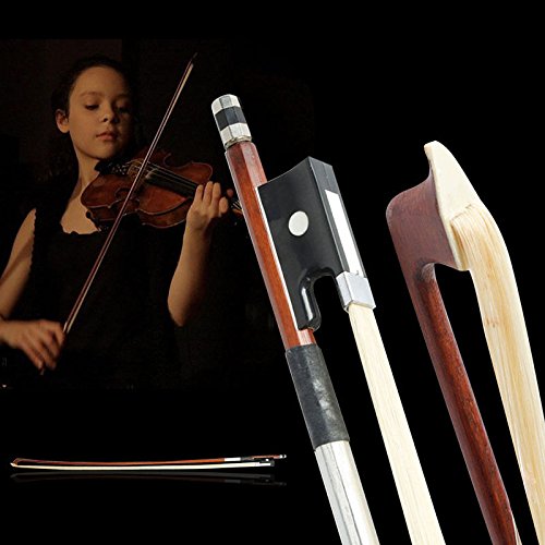 Amzz Professional 4/4 Brazilwood Ebony Frog Violin Arbor White Horsehair Violin Bow (4/4 Brazilwood)