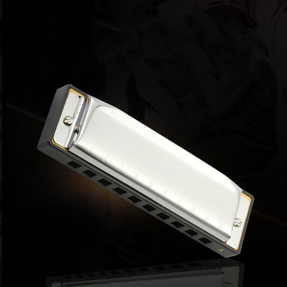 Swan Harmonica 10 Hole Blues Harmonica Set 7/12 Tone Set Suit Gift Box Mouth Organ Harmonica For Beginners Adluts (12 Tone Set)