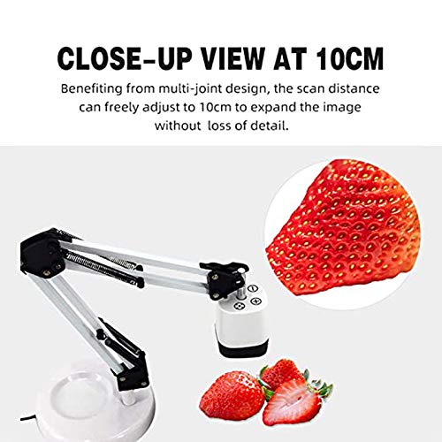 Document Camera For Teachers, 8Mp With Auto-Focus And Led Supplemental Light, Excellent For Distance Education And Web Conferenc